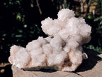 Natural Pale Lilac Botryoidal Spirit Quartz Clusters x 2 From Boekenhouthoek, South Africa - Toprock Gemstones and Minerals 