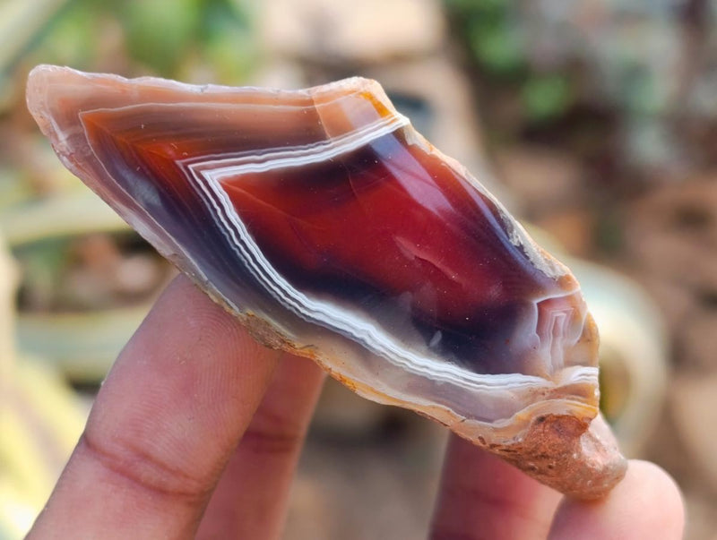 Polished One Side Red Shashe River Agate Nodules x 24 From Shashe River, Zimbabwe - Toprock Gemstones and Minerals 