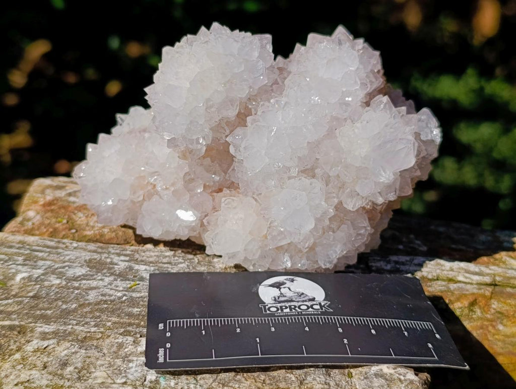 Natural Pale Lilac Botryoidal Spirit Quartz Clusters x 2 From Boekenhouthoek, South Africa - Toprock Gemstones and Minerals 