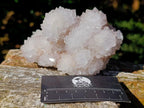 Natural Pale Lilac Botryoidal Spirit Quartz Clusters x 2 From Boekenhouthoek, South Africa - Toprock Gemstones and Minerals 