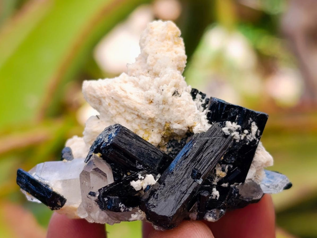 Natural Schorl Black Tourmaline with Feldspar Specimens x 35 From Erongo, Namibia - Toprock Gemstones and Minerals 