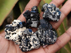 Natural Schorl Black Tourmaline with Feldspar Specimens x 35 From Erongo, Namibia - Toprock Gemstones and Minerals 