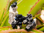 Natural Schorl Black Tourmaline with Feldspar Specimens x 35 From Erongo, Namibia - Toprock Gemstones and Minerals 