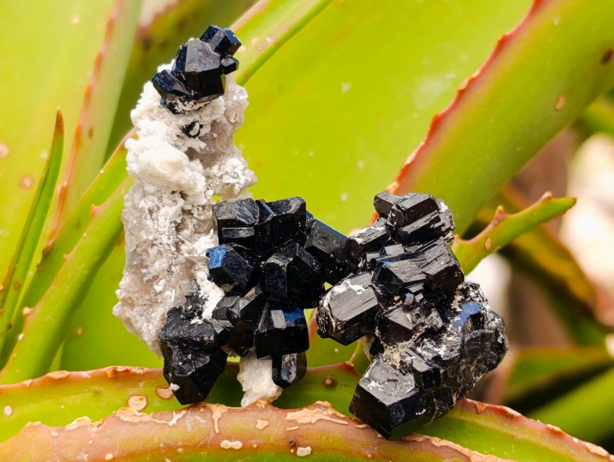 Natural Schorl Black Tourmaline with Feldspar Specimens x 35 From Erongo, Namibia - Toprock Gemstones and Minerals 