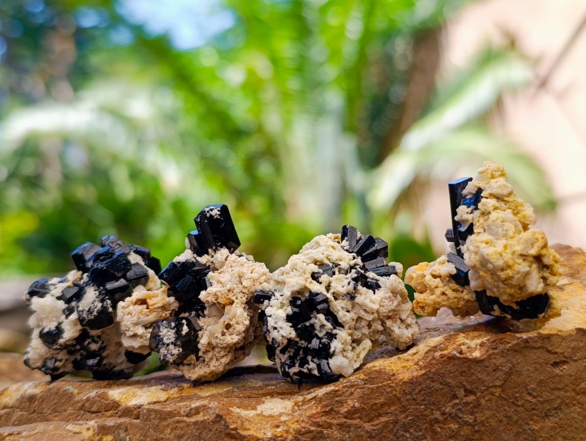 Natural Schorl Black Tourmaline with Feldspar Specimens x 35 From Erongo, Namibia - Toprock Gemstones and Minerals 