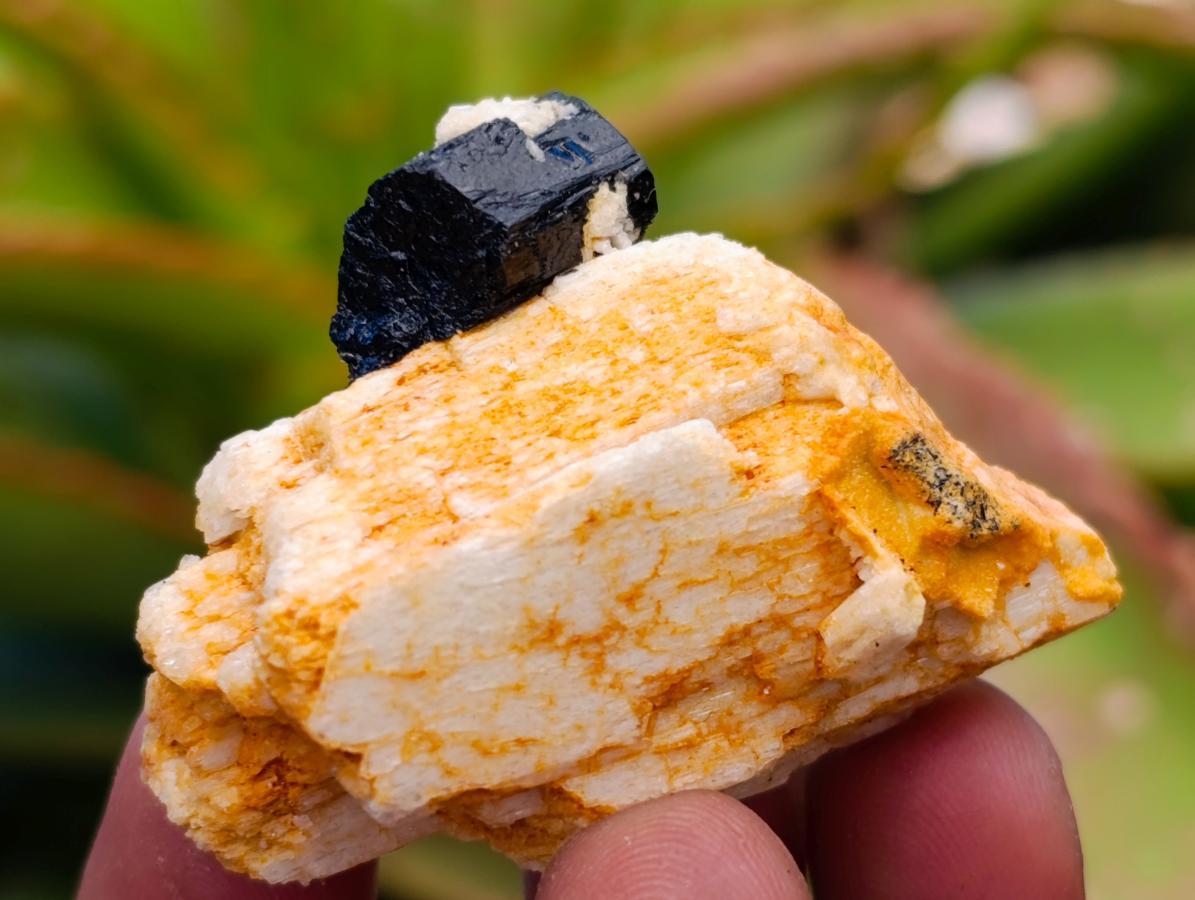 Natural Schorl Black Tourmaline with Feldspar Specimens x 35 From Erongo, Namibia - Toprock Gemstones and Minerals 