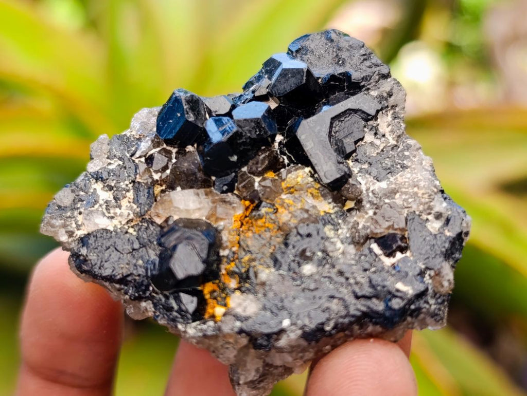 Natural Schorl Black Tourmaline with Feldspar Specimens x 35 From Erongo, Namibia - Toprock Gemstones and Minerals 