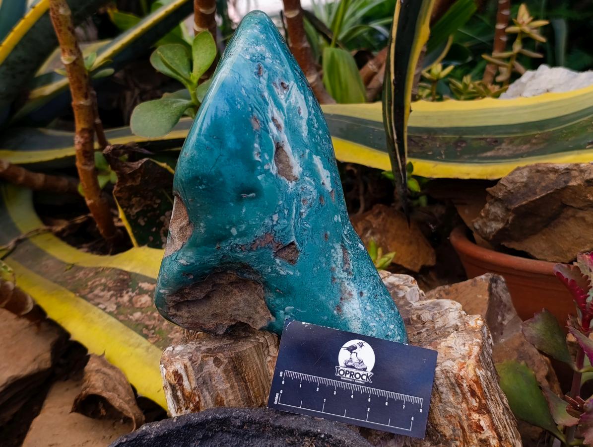 Polished XL Mtorolite Free Form x 1 From Mutorashanga, Zimbabwe - Toprock Gemstones and Minerals 