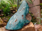 Polished XL Mtorolite Free Form x 1 From Mutorashanga, Zimbabwe - Toprock Gemstones and Minerals 