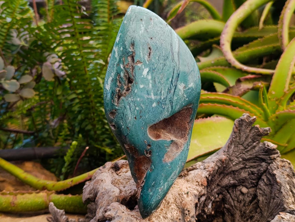 Polished XL Mtorolite Free Form x 1 From Mutorashanga, Zimbabwe - Toprock Gemstones and Minerals 