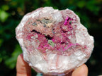 Natural Salrose Cobaltoan Dolomite Specimens with Silky Malachite Crystals x 6 From Kakanda, Congo - Toprock Gemstones and Minerals 