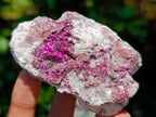 Natural Salrose Cobaltoan Dolomite Specimens with Silky Malachite Crystals x 6 From Kakanda, Congo - Toprock Gemstones and Minerals 