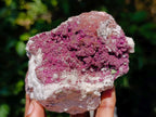 Natural Salrose Cobaltoan Dolomite Specimens with Silky Malachite Crystals x 6 From Kakanda, Congo - Toprock Gemstones and Minerals 