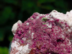 Natural Salrose Cobaltoan Dolomite Specimens with Silky Malachite Crystals x 6 From Kakanda, Congo - Toprock Gemstones and Minerals 
