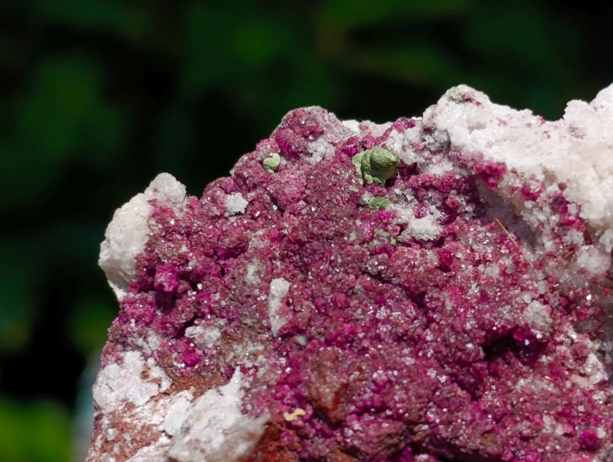 Natural Salrose Cobaltoan Dolomite Specimens with Silky Malachite Crystals x 6 From Kakanda, Congo - Toprock Gemstones and Minerals 