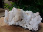 Natural Drusy Snow Finger Quartz Coated Clusters x 2 From Albert's Mountain, Lesotho - Toprock Gemstones and Minerals 