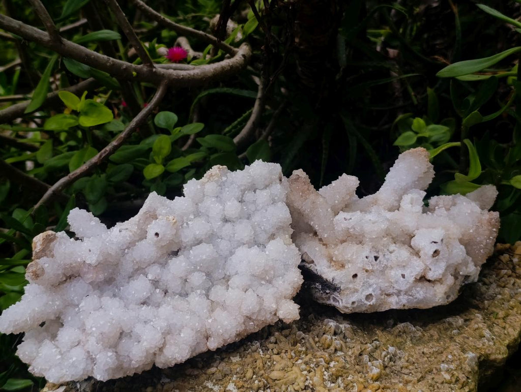 Natural Drusy Snow Finger Quartz Coated Clusters x 2 From Albert's Mountain, Lesotho - Toprock Gemstones and Minerals 