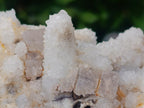 Natural Drusy Snow Finger Quartz Coated Clusters x 2 From Albert's Mountain, Lesotho - Toprock Gemstones and Minerals 