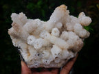 Natural Drusy Snow Finger Quartz Coated Clusters x 2 From Albert's Mountain, Lesotho - Toprock Gemstones and Minerals 