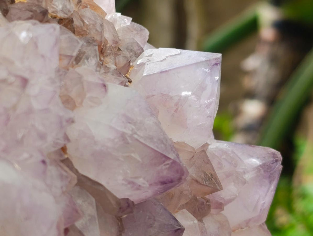 Natural XL Sunburst Amethyst Spirit Cluster Plate x 1 From Boekenhouthoek, South Africa - Toprock Gemstones and Minerals 