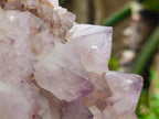 Natural XL Sunburst Amethyst Spirit Cluster Plate x 1 From Boekenhouthoek, South Africa - Toprock Gemstones and Minerals 