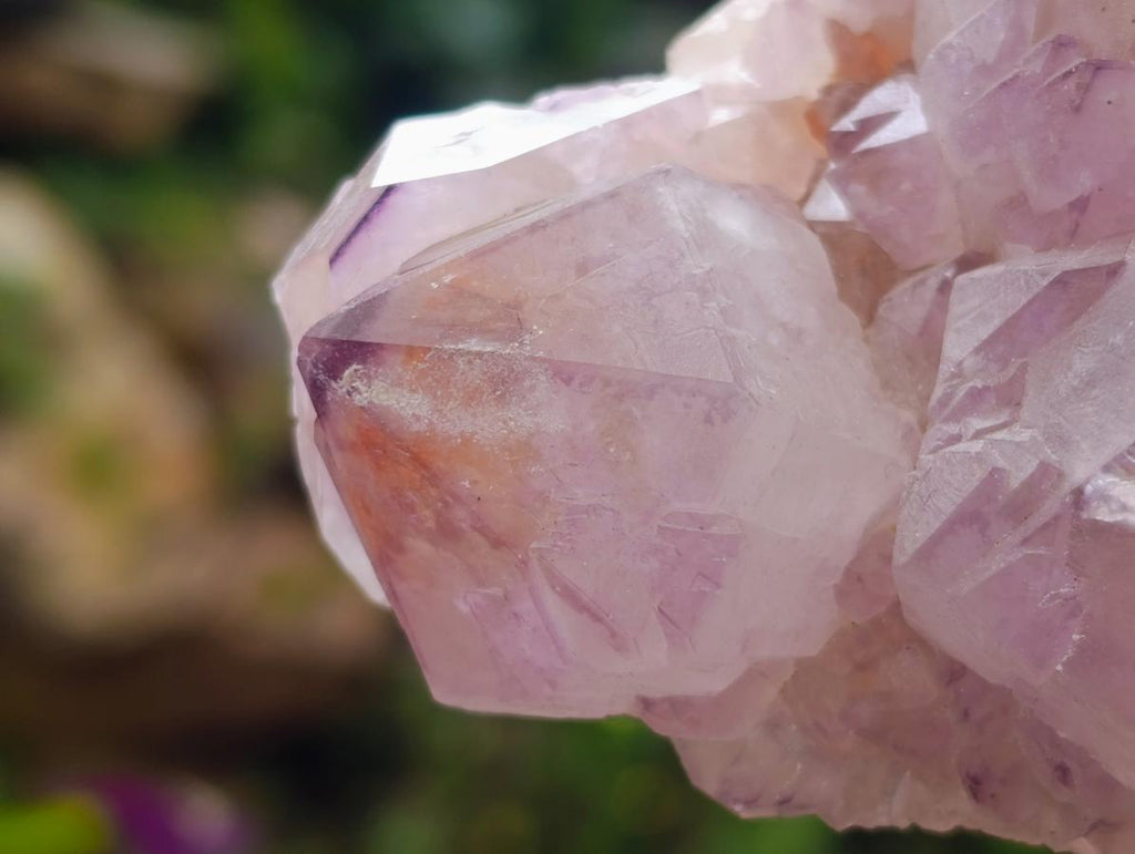 Natural XL Sunburst Amethyst Spirit Cluster Plate x 1 From Boekenhouthoek, South Africa - Toprock Gemstones and Minerals 