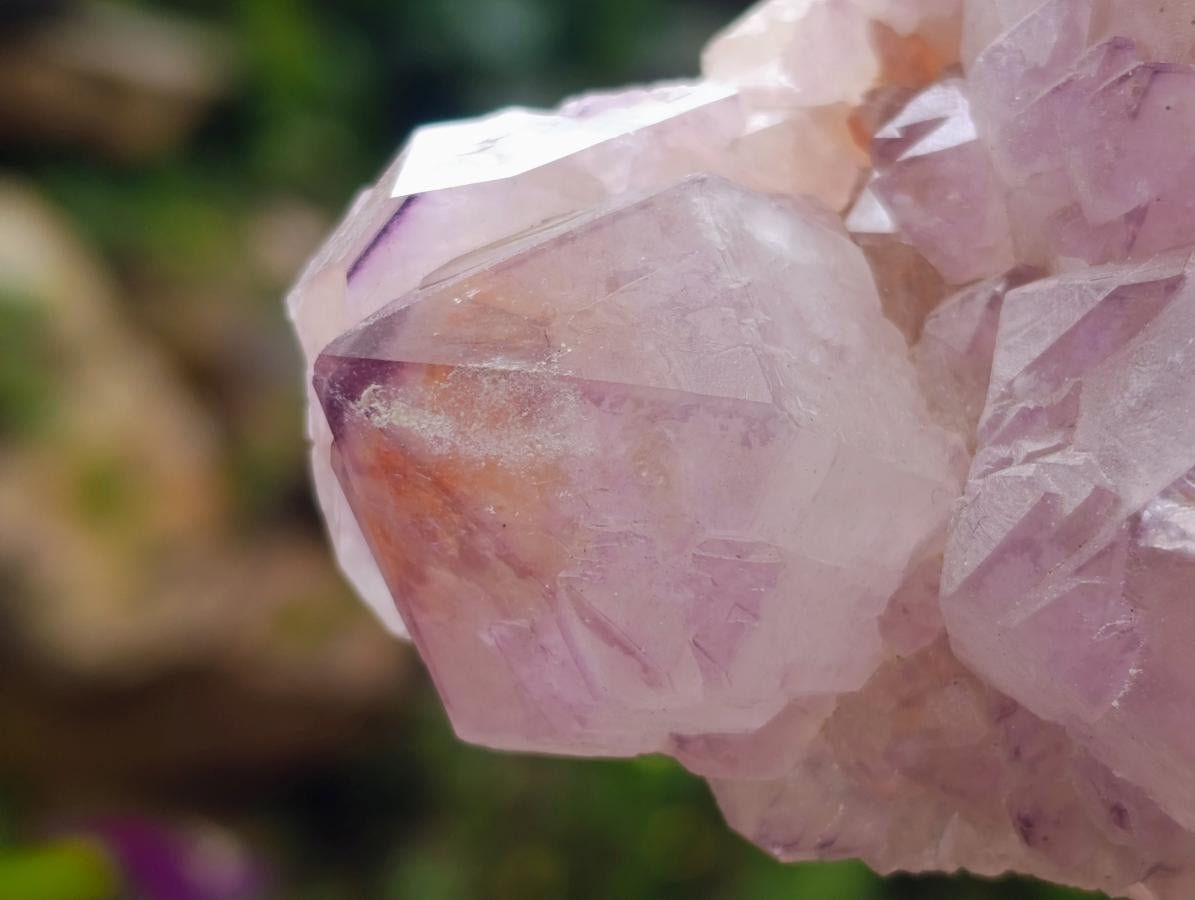Natural XL Sunburst Amethyst Spirit Cluster Plate x 1 From Boekenhouthoek, South Africa - Toprock Gemstones and Minerals 