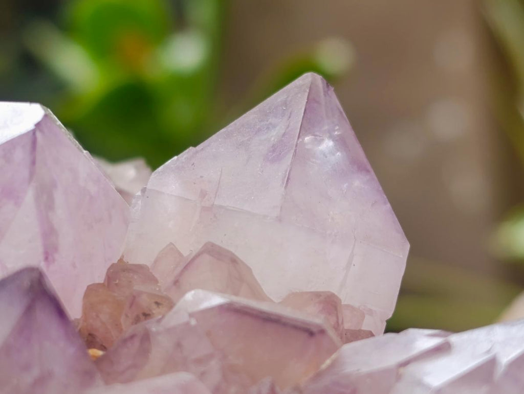 Natural XL Sunburst Amethyst Spirit Cluster Plate x 1 From Boekenhouthoek, South Africa - Toprock Gemstones and Minerals 