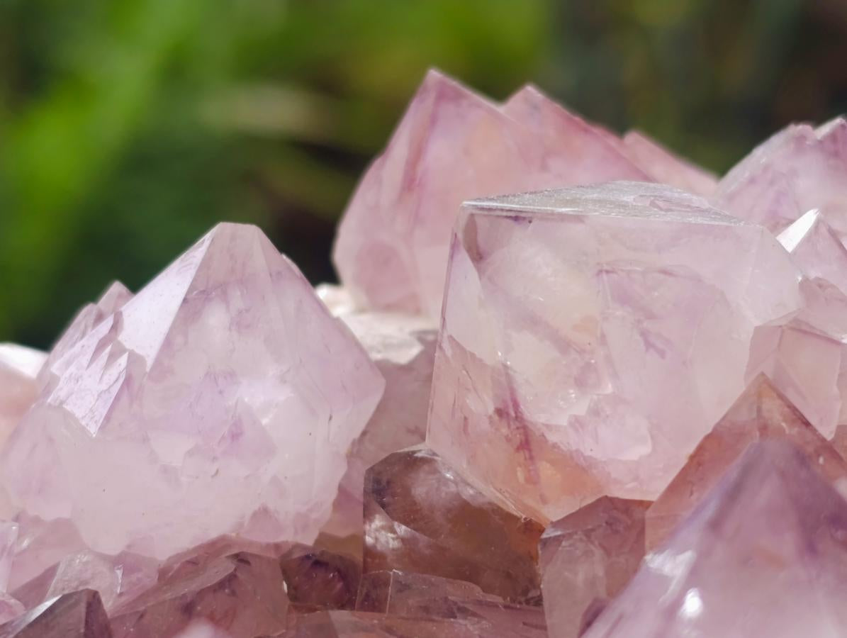 Natural XL Sunburst Amethyst Spirit Cluster Plate x 1 From Boekenhouthoek, South Africa - Toprock Gemstones and Minerals 