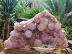 Natural XL Sunburst Amethyst Spirit Cluster Plate x 1 From Boekenhouthoek, South Africa - Toprock Gemstones and Minerals 