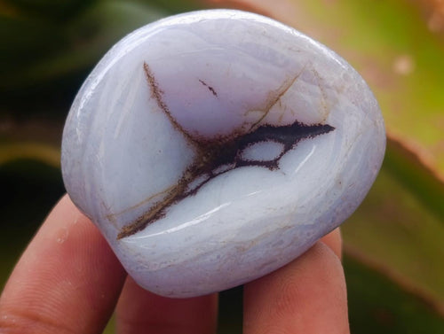 Polished Blue Lace Agate Free Forms x 20 From Nsanje, Malawi - Toprock Gemstones and Minerals 