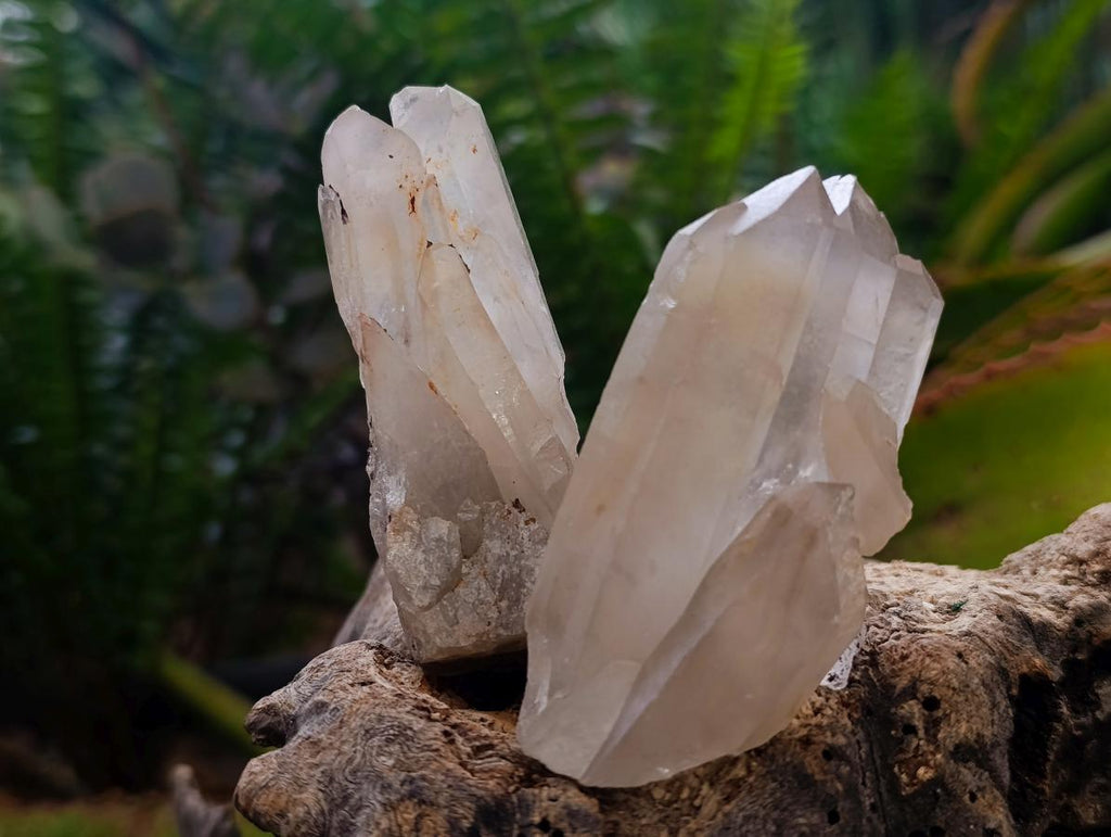 Natural Mixed Quartz Crystal Clusters x 35 From Madagascar - Toprock Gemstones and Minerals 