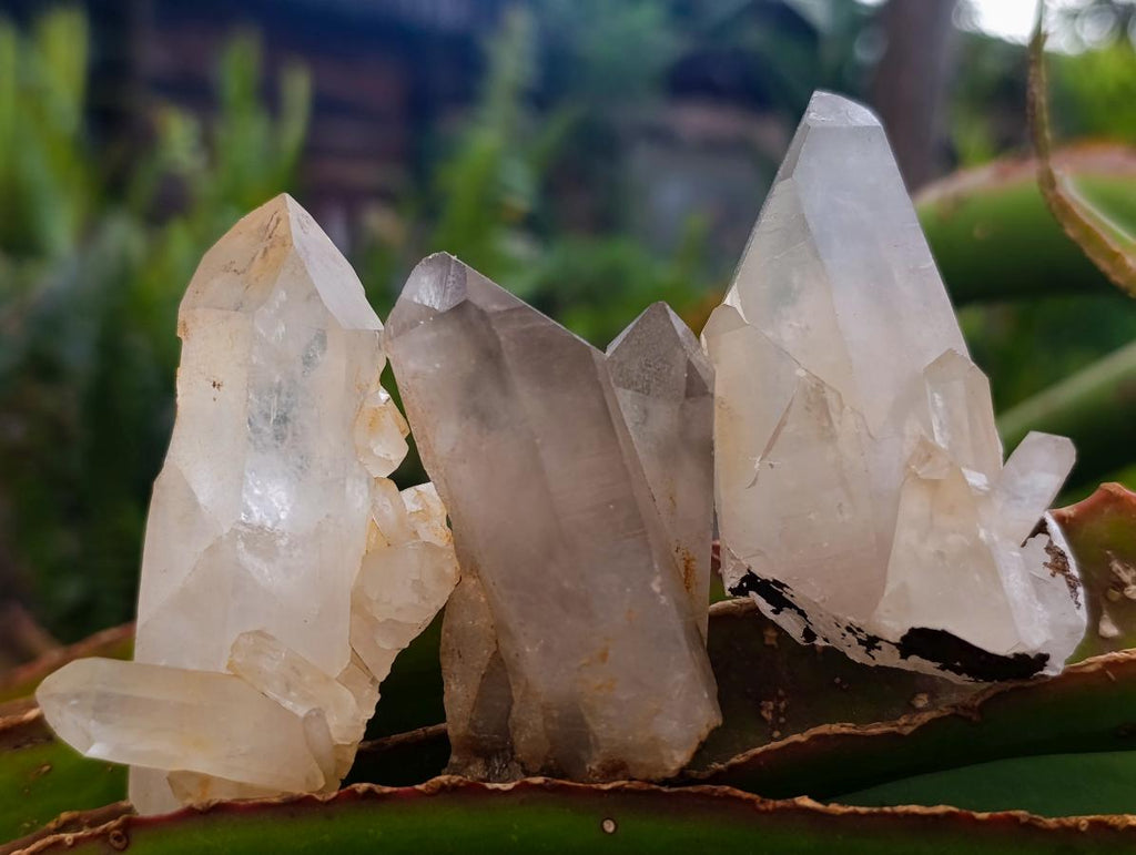 Natural Mixed Quartz Crystal Clusters x 35 From Madagascar - Toprock Gemstones and Minerals 