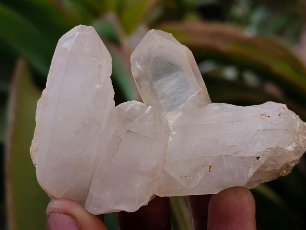 Natural Mixed Quartz Crystal Clusters x 35 From Madagascar - Toprock Gemstones and Minerals 