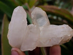 Natural Mixed Quartz Crystal Clusters x 35 From Madagascar - Toprock Gemstones and Minerals 