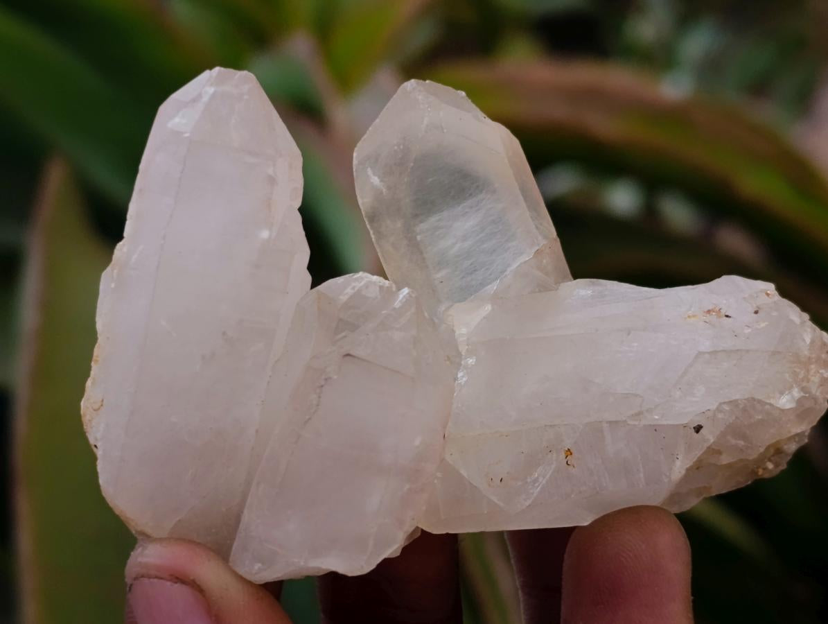 Natural Mixed Quartz Crystal Clusters x 35 From Madagascar - Toprock Gemstones and Minerals 
