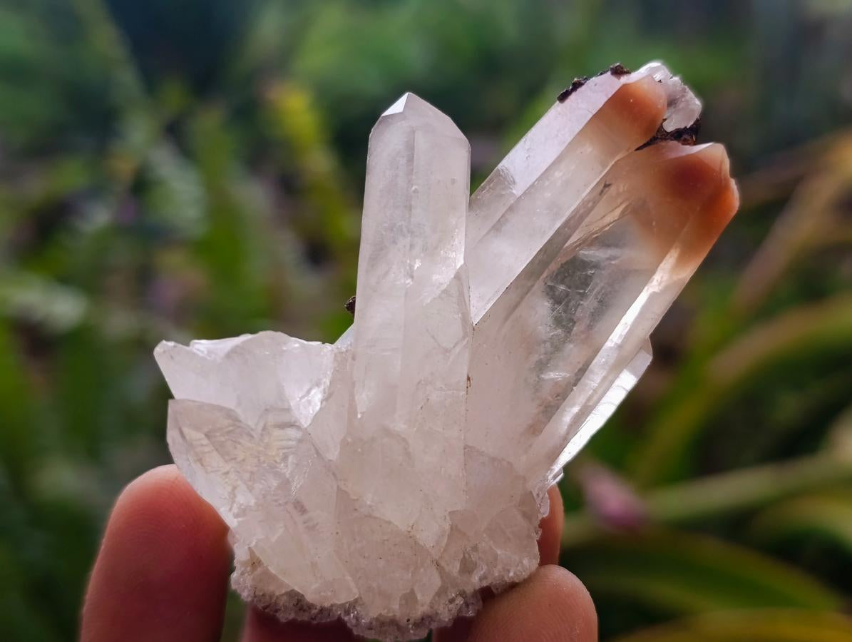 Natural Mixed Quartz Crystal Clusters x 35 From Madagascar - Toprock Gemstones and Minerals 