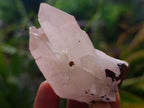 Natural Mixed Quartz Crystal Clusters x 35 From Madagascar - Toprock Gemstones and Minerals 