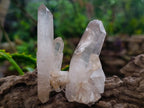 Natural Mixed Quartz Crystal Clusters x 35 From Madagascar - Toprock Gemstones and Minerals 