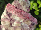 Natural Pink Rubellite Tourmaline Specimens x 2 From Karibib, Namibia - Toprock Gemstones and Minerals 