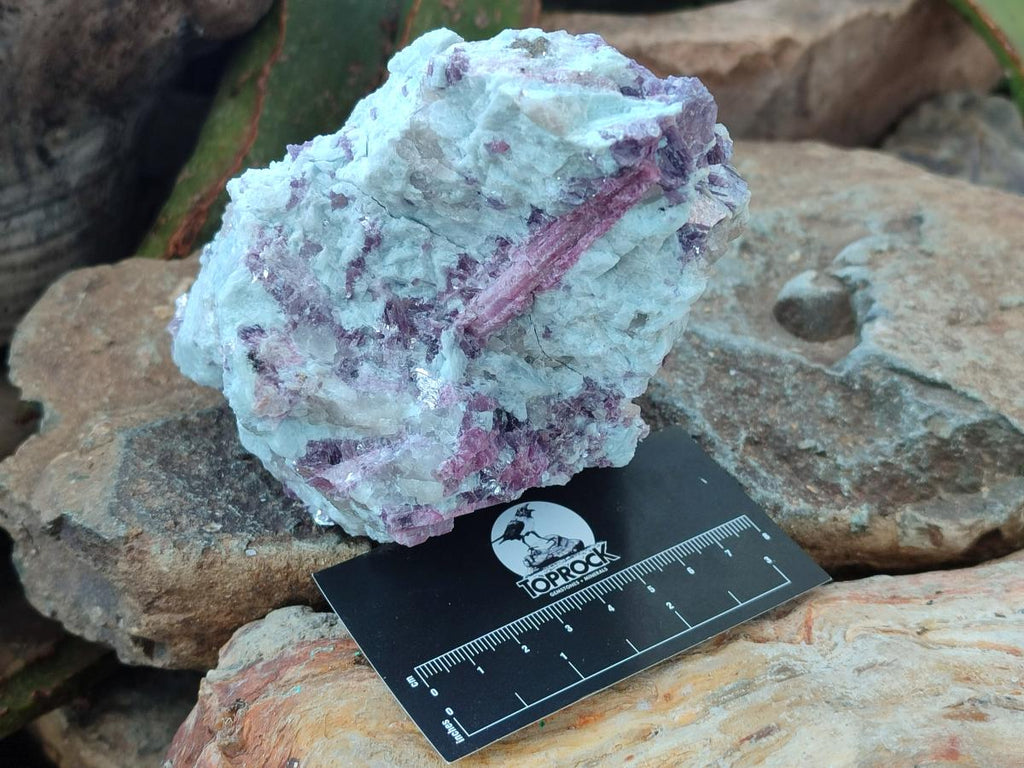 Natural Pink Rubellite Tourmaline Specimens x 2 From Karibib, Namibia - Toprock Gemstones and Minerals 