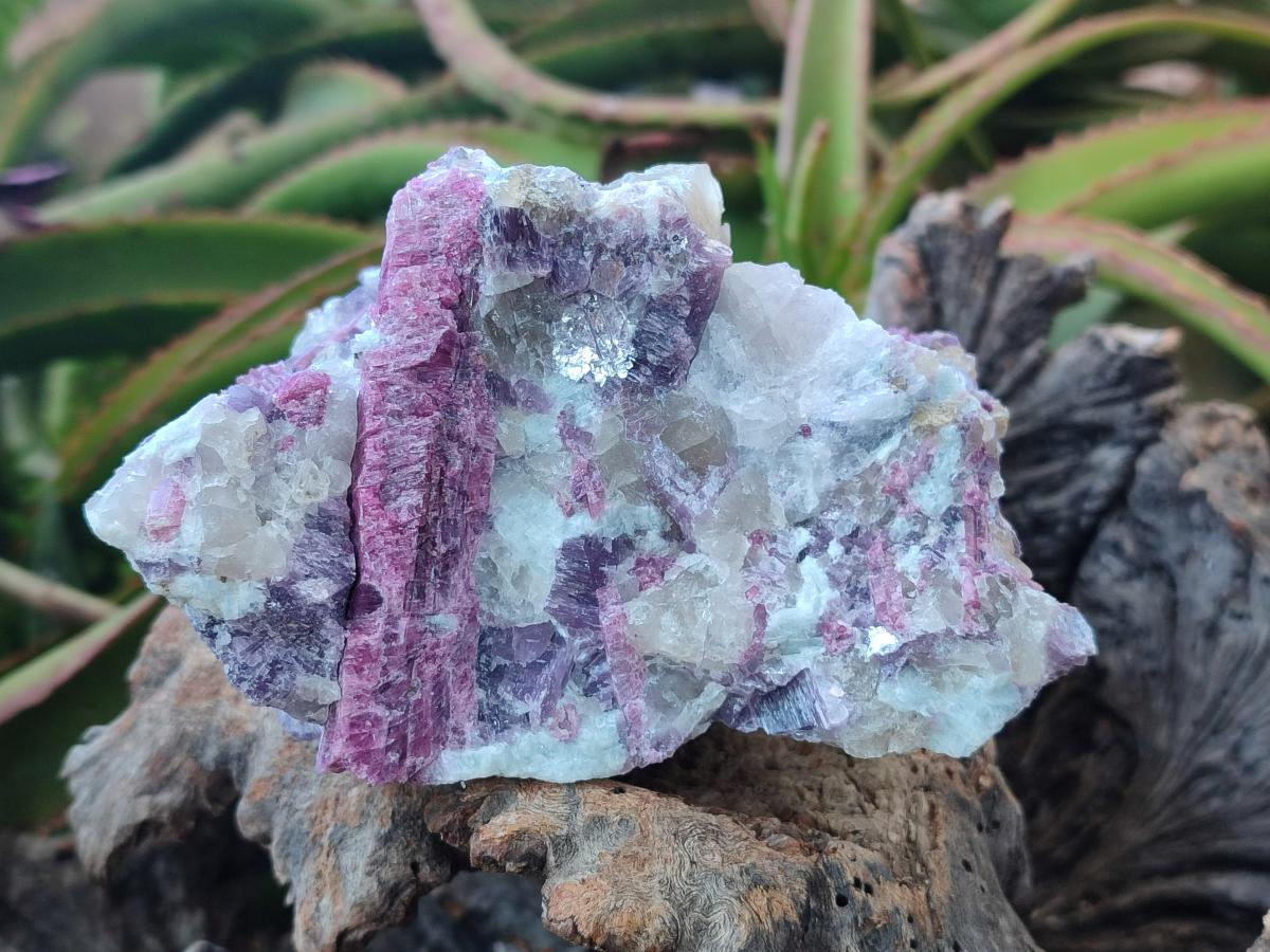 Natural Pink Rubellite Tourmaline Specimens x 2 From Karibib, Namibia - Toprock Gemstones and Minerals 