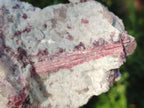 Natural Pink Rubellite Tourmaline Specimens x 2 From Karibib, Namibia - Toprock Gemstones and Minerals 
