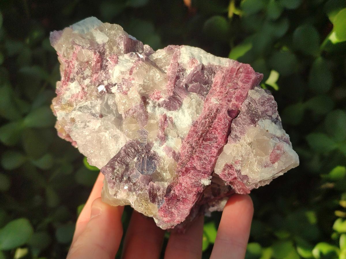 Natural Pink Rubellite Tourmaline Specimens x 2 From Karibib, Namibia - Toprock Gemstones and Minerals 