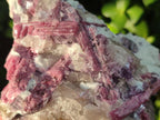 Natural Pink Rubellite Tourmaline Specimens x 2 From Karibib, Namibia - Toprock Gemstones and Minerals 