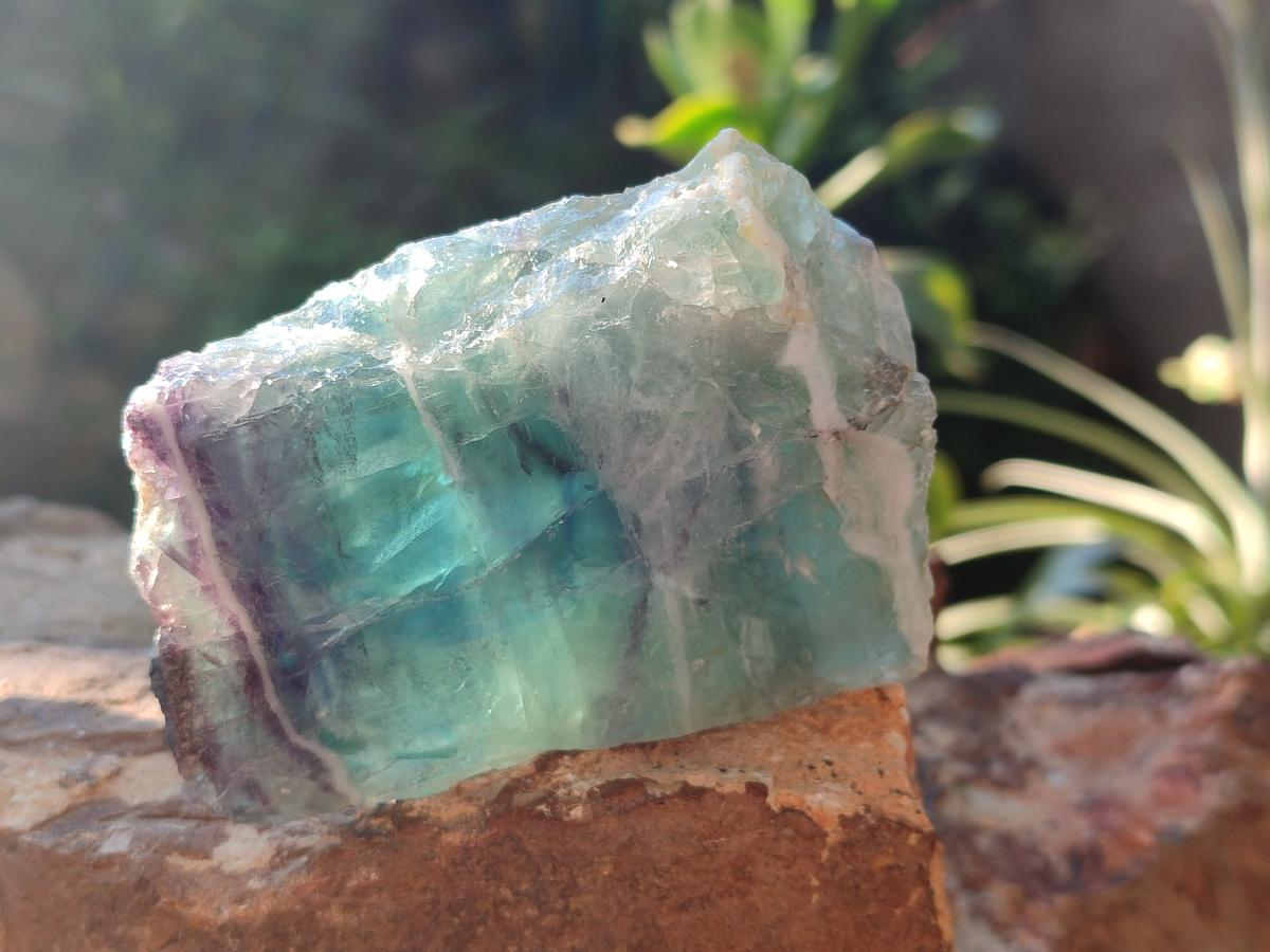 Polished On One Side Watermelon Fluorite Slices x 10 From Uis, Namibia - Toprock Gemstones and Minerals 