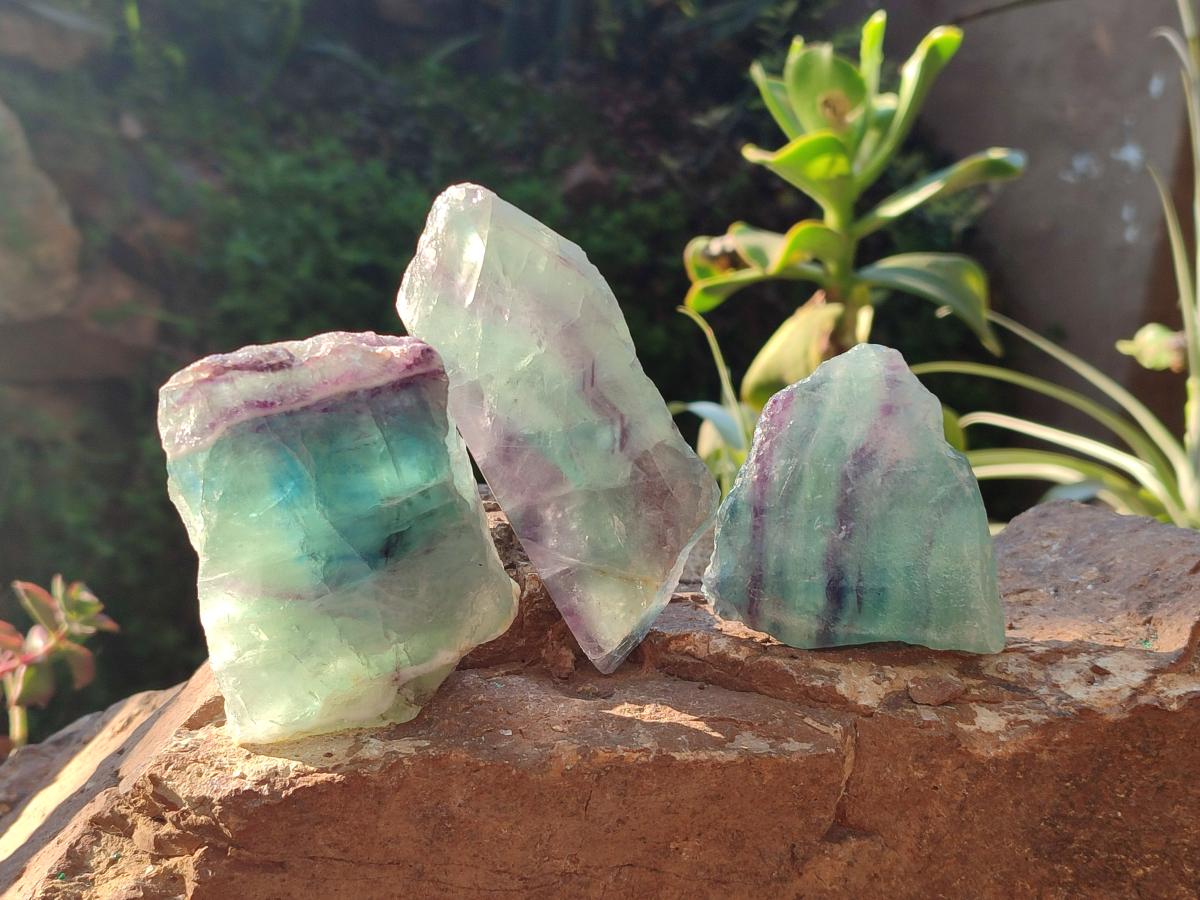 Polished On One Side Watermelon Fluorite Slices x 10 From Uis, Namibia - Toprock Gemstones and Minerals 
