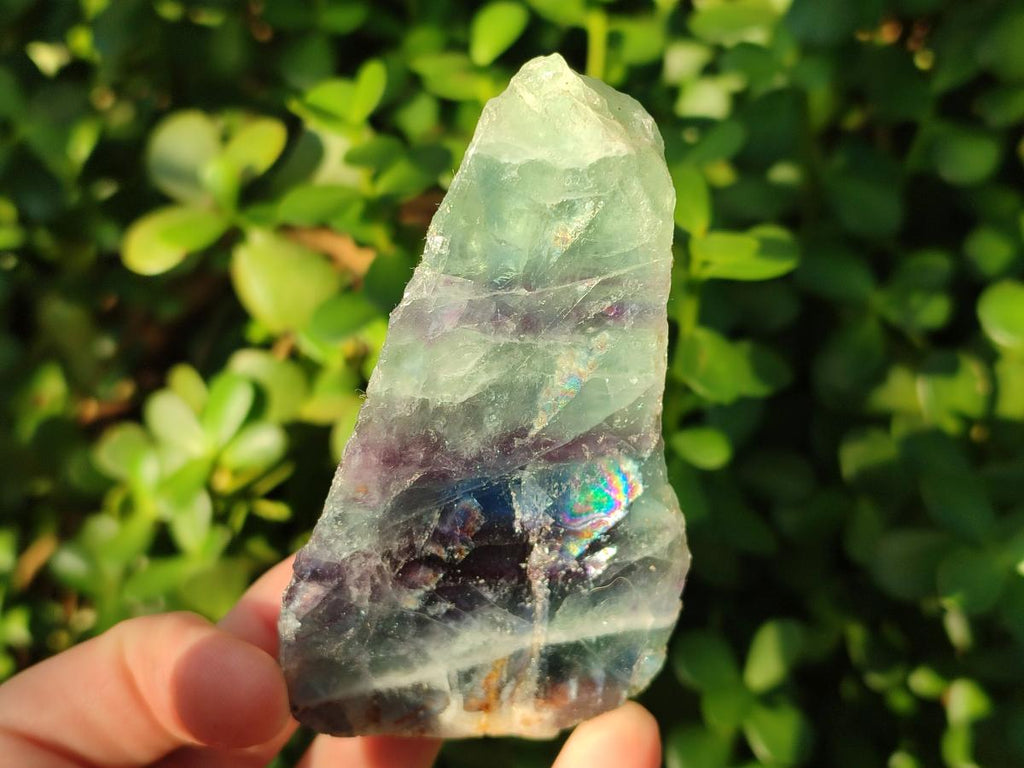 Polished On One Side Watermelon Fluorite Slices x 10 From Uis, Namibia - Toprock Gemstones and Minerals 
