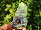 Polished On One Side Watermelon Fluorite Slices x 10 From Uis, Namibia - Toprock Gemstones and Minerals 