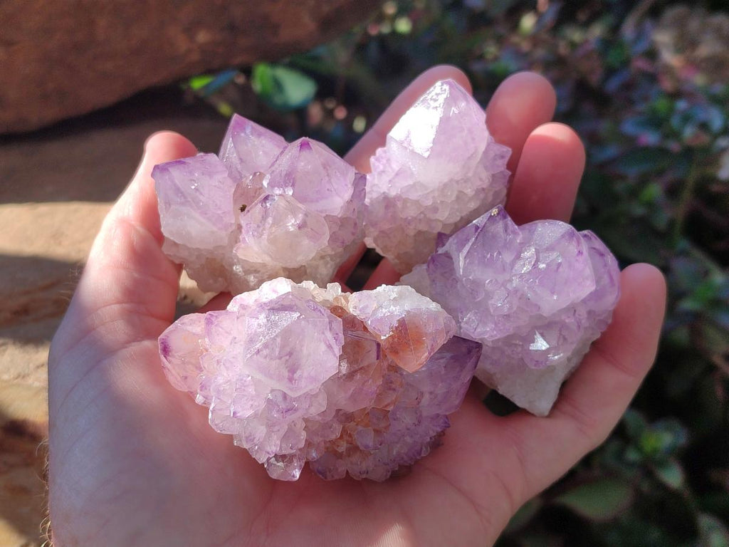 Natural Sunburst Amethyst Single Spirit Quartz Crystals x 12 From Boekenhouthoek, South Africa - Toprock Gemstones and Minerals 